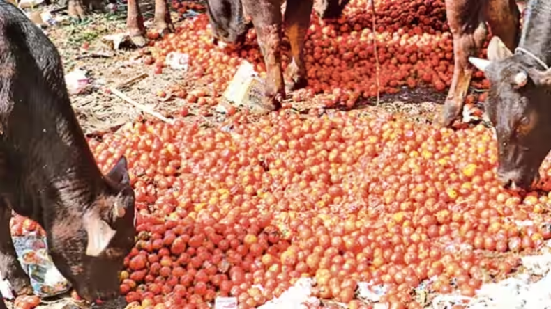 PM Kisan Yojana: 17वीं किस्त का फायदा उठाने के लिए तुरंत करें ये काम, देखें डिटेल