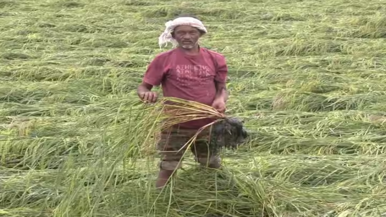 PM Kisan Yojana: 17वीं किस्त का फायदा उठाने के लिए तुरंत करें ये काम, देखें डिटेल