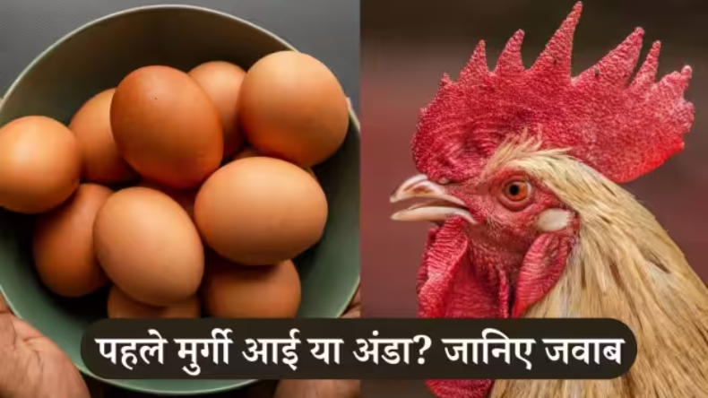 दूध पीने से हार्ट अटैक का खतरा,रिसर्च  से हकीकत आई सामने