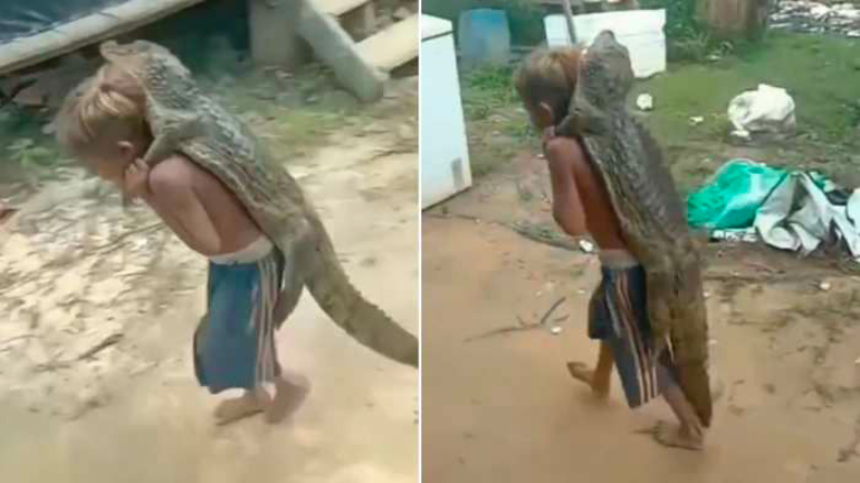 शादी में गुस्से से क्यों लाल टमाटर होते फूफा, जानें इसके पीछे किसका है हाथ?