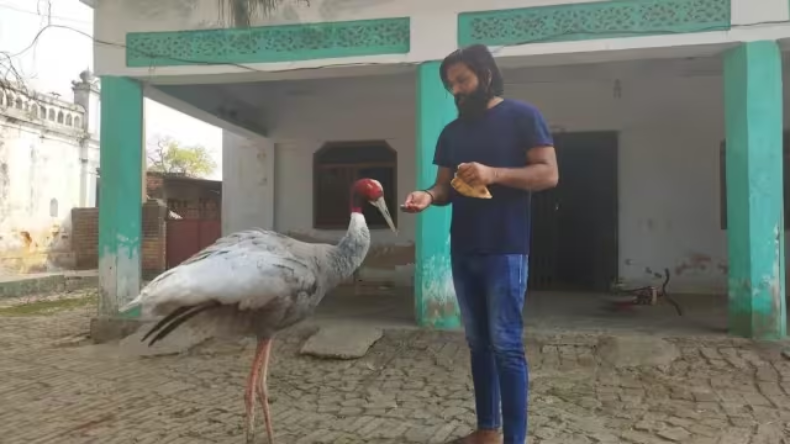 कान में इयरफोन लगाकर चलने वाले हो जाएं सावधान! दो लोगों का ट्रेन ने किया खेल खत्म