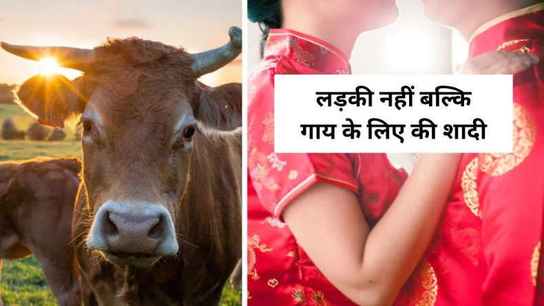 पत्नी को कार में प्रेमी के साथ देखकर ठनका पति का माथा, पीछा किया और कर डाला ये कांड