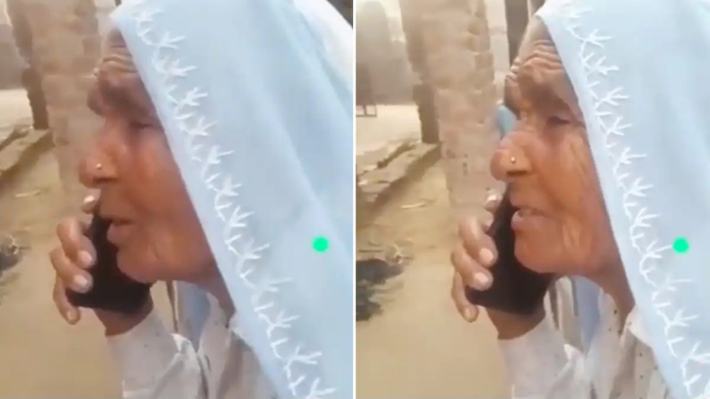 मैदान की घास काटता नज़र आया कुत्ता, अब इंसान की कोई जरूरत नहीं