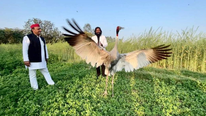 UP Congress: इंडिया की बैठक से पहले दिल्ली में यूपी के नेताओं का कांग्रेस आलाकमान के साथ मंथन