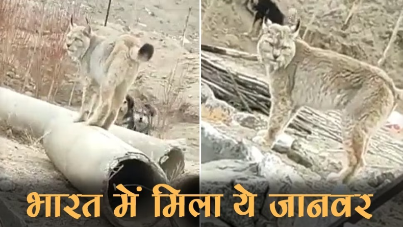 भारत का गलत नक्शा दिखाने पर MotoGP ने मांगी माफ़ी, J&K और लद्दाख को किया अलग