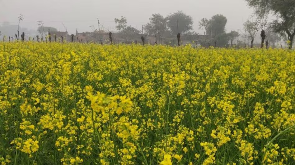 किन्नर ने मुंहबोली बेटी की करवाई धूमधाम से शादी, 10 लाख किए खर्च