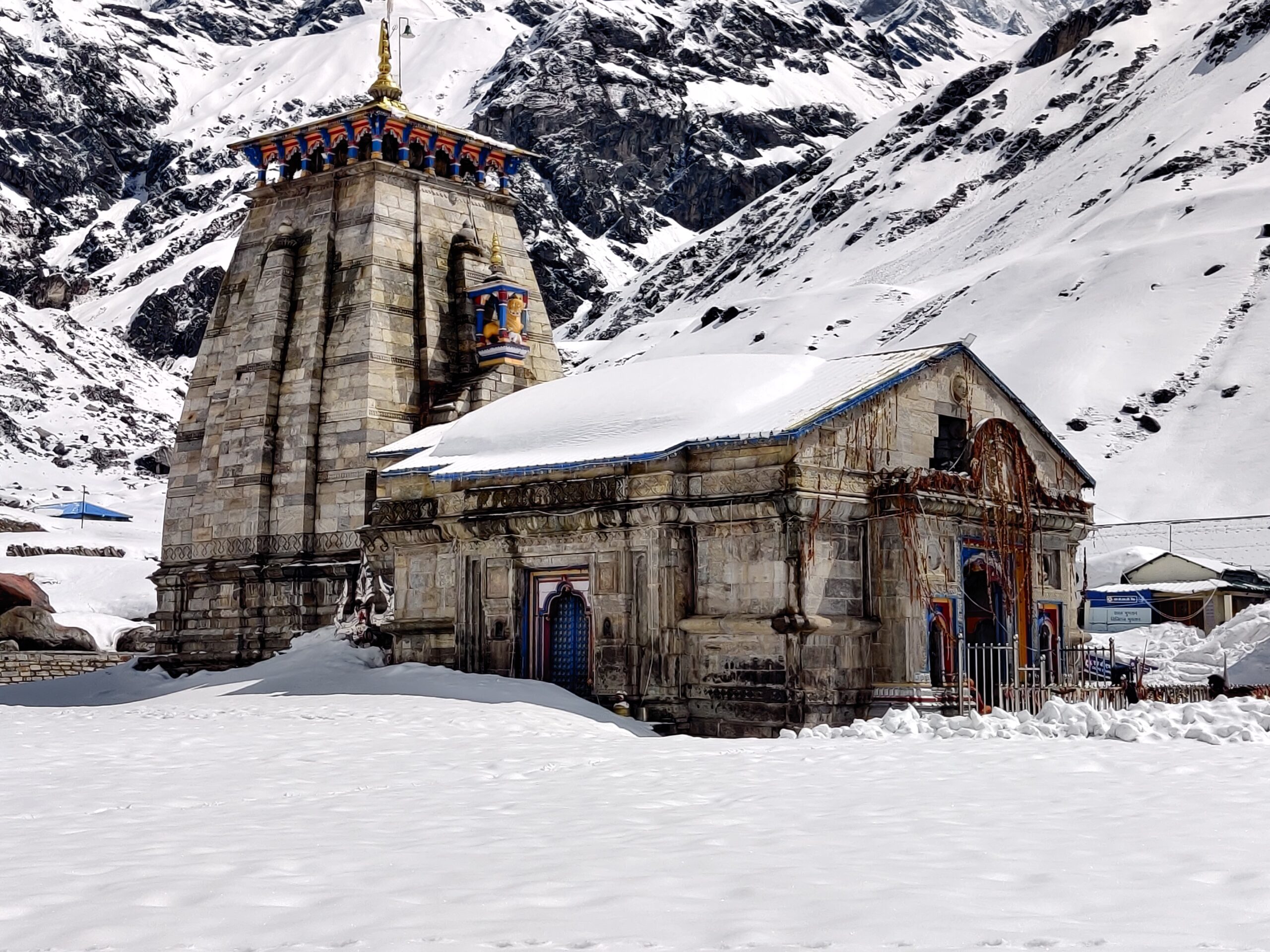 न जुकाम, न बुखार, न उल्टी-दस्त! इस जीव को जिंदगी भर नहीं होती कोई बीमारी, जानें क्यों