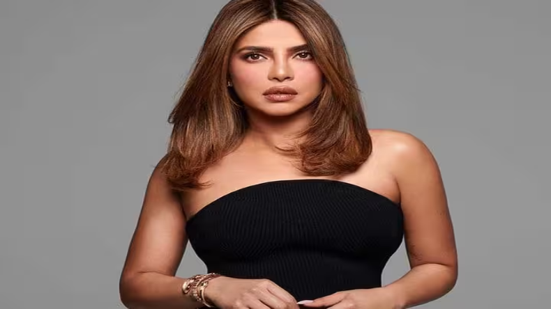 प्रियंका चोपड़ा के बयान पर विवेक अग्निहोत्री ने कहा-बड़े-बड़े दबंग दबंगई करते हैं