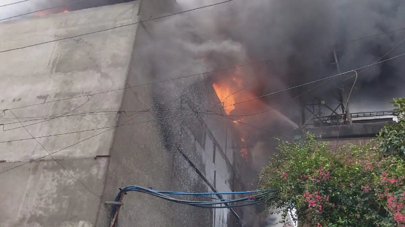 Delhi Fire: कमरुद्दीन नगर के प्लास्टिक गोदाम में लगी भीषण आग, मौके पर दमकल की गाड़ियां मौजूद