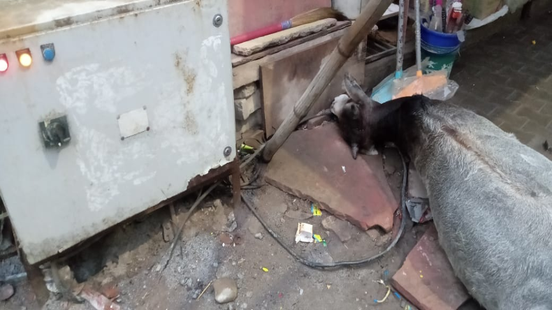 Haryana : कांग्रेस नेता दीपेंद्र हुड्डा ने दिया बयान, प्रदेश में चल रहा ‘ऑपरेशन रिवर्स लोटस’