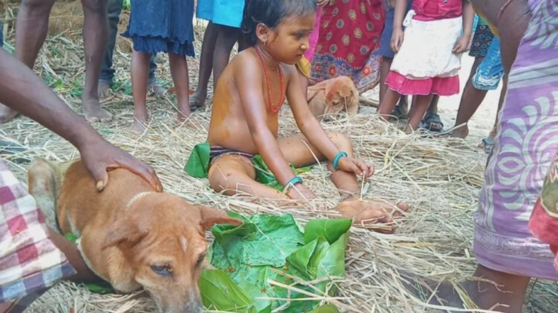 ओडिशा ट्रेन हादसे की जांच करेगा ये अफसर, रेल मंत्री से इस्तीफे की हो रही मांग