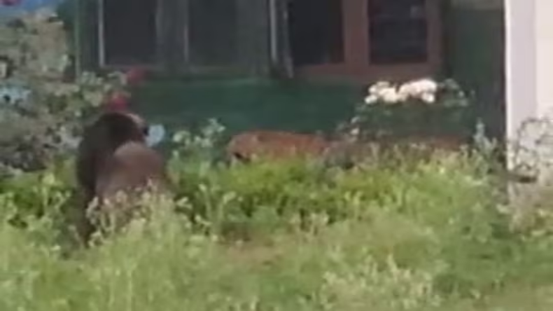 कानून व्यवस्था पर भड़के अखिलेश यादव, कहा- UP सरकार एक करोड़ का जुर्माना दे