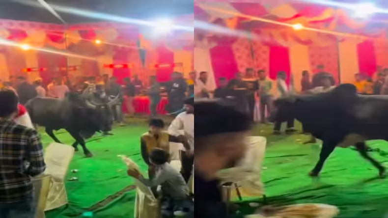 लड़की के परिवार वालों के आने से पहले लड़के ने पूरे गांव में किया ऐलान,धमकी देने का वीडियो हुआ वायरल