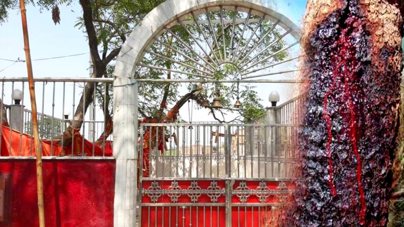 शराब कांड को लेकर नीतीश गंभीर,अधिकारियों को दिए जांच के निर्देश