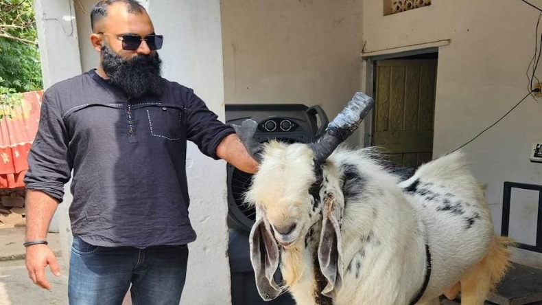 मध्य प्रदेश में कोहरे के कारण हवाई यात्री परेशान, राजा भोज एयरपोर्ट पर 2-3 घंटे लेट हुईं फ्लाइट्स
