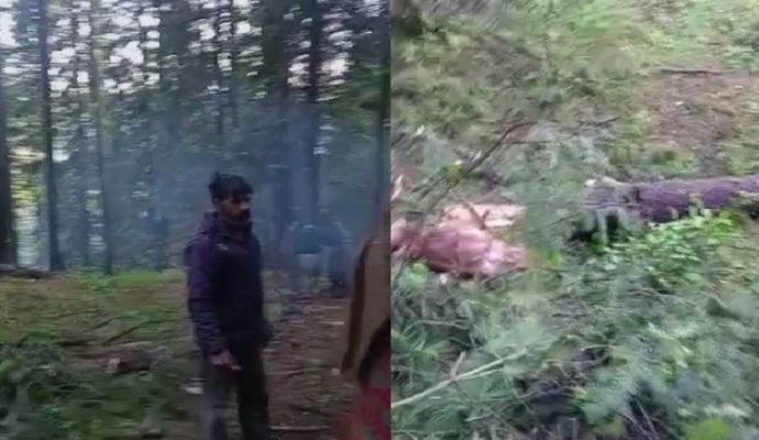 कश्मीर और लद्दाख में शीतलहर का कहर, 4 डिग्री तक पहुंचा तापमान