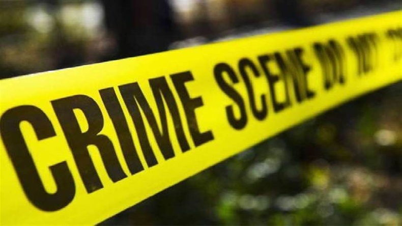 वफादार कुत्ते का हैरतअंगेज कारनामा: तेरी मेहरबानियां की तर्ज पर मालकिन के हत्यारे को पकड़वाया
