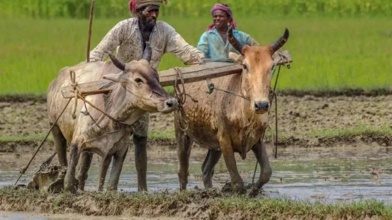 PM Kisan Yojana: 17वीं किस्त का पूरा लाभ उठाने के लिए करें ये काम