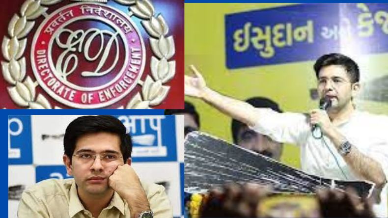 AAP सांसद संजय सिंह की रिहाई से पहले उनकी पत्नी अनीता सिंह ने बताया आगे का प्लान