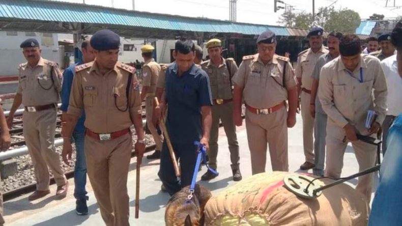 यूपी पुलिस के सिपाही को रील बनाना पड़ा महंगा, एसपी ने उसके खिलाफ लिया एक्शन