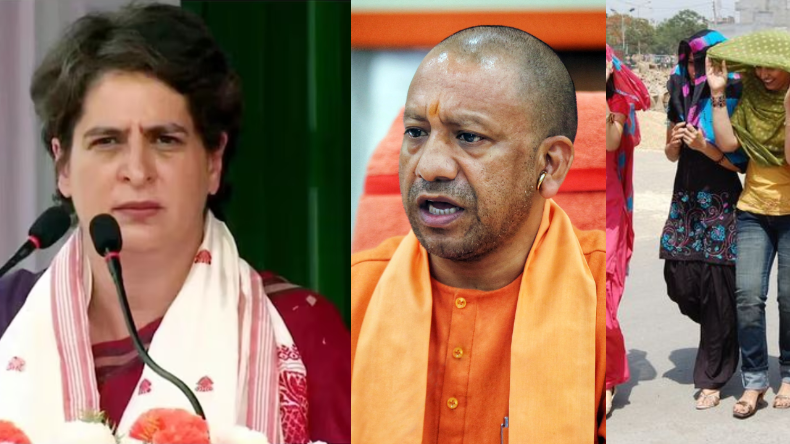 Nautapa 2024: घर में चाहते हैं मां लक्ष्मी की कृपा, तो नौतपा में जरूर लगाएं ये पौधे