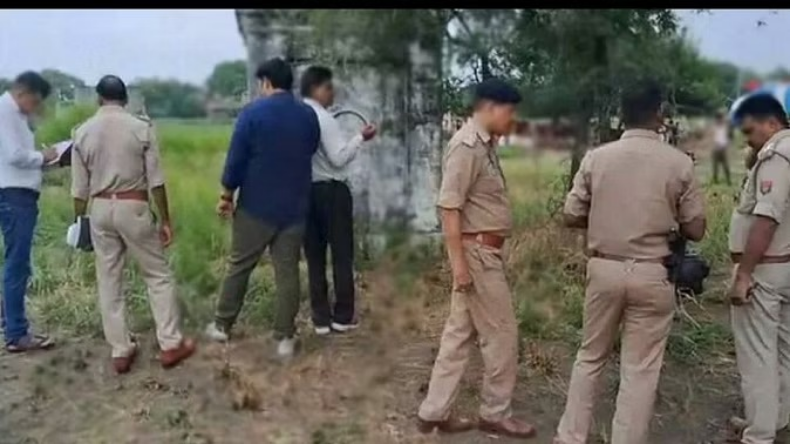पेड़ों के हरे पत्ते खाने पर मालिक के खिलाफ केस दर्ज, कई भैंसें गिरफ्तार