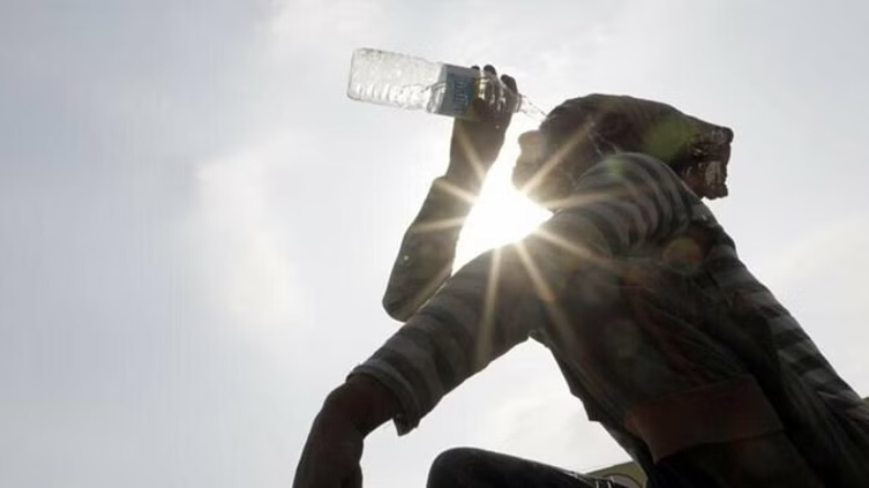 NASA: ग्रीनहाउस गैसों का महासागरों पर खतरनाक असर, भविष्य में मानव अस्तित्व पर खतरा!