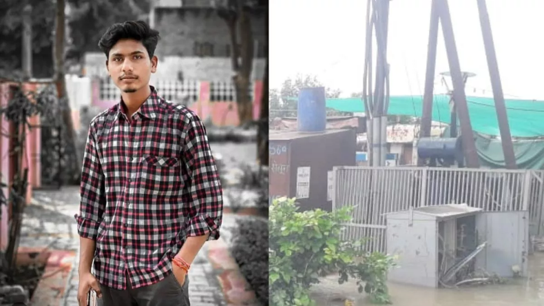 पेड़ों के हरे पत्ते खाने पर मालिक के खिलाफ केस दर्ज, कई भैंसें गिरफ्तार
