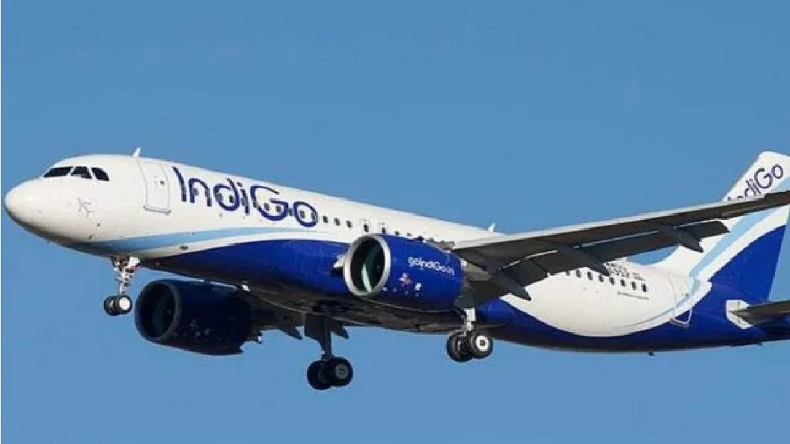 मगरमच्छ के बच्चों को बैंकॉक ले जा रहे थे तस्कर, मुंबई एयरपोर्ट पर ऐसे पकड़े गये
