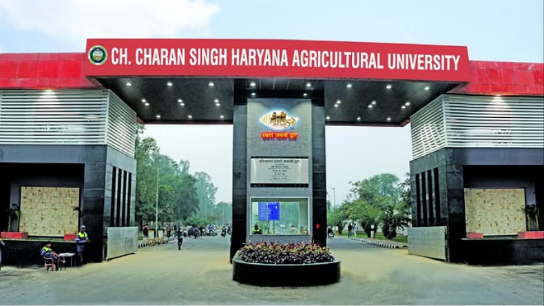 Hisar: सत्य नगर में घर में लगी भीषड़ आग, सिलिंडर फटने से तीन वर्ष के बच्चे की मौत