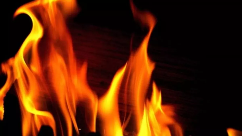 Delhi Fire: दिल्ली पुलिस ट्रेनिंग स्कूल के मालखाने में भीषण आग, मौके पर दमकल की 5 गाड़ियां