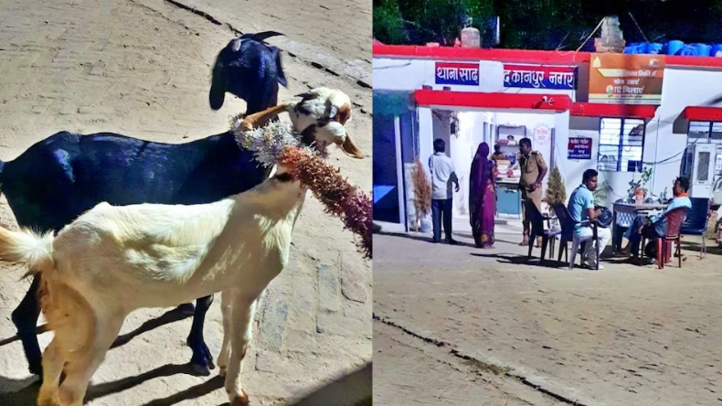 जलती चिता से निकाली लाश, पत्नी ने कहा हत्या हुई, सिर से बह रहा था खून…कानपुर में सनसनीखेज घटना