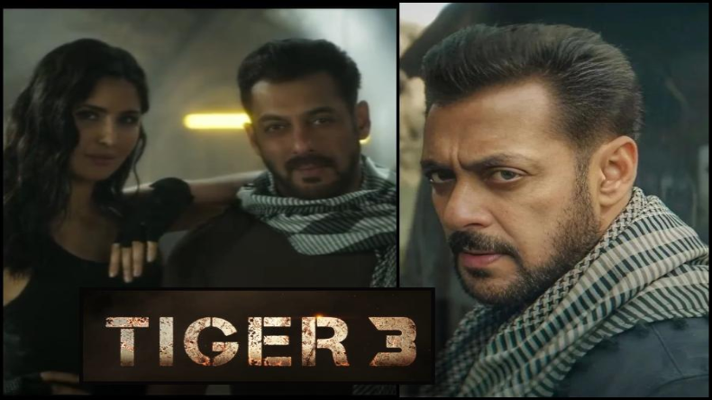 BOLLYWOOD: इन दो वजह से खड़ी हो सकती है सलमान की मुश्किलें