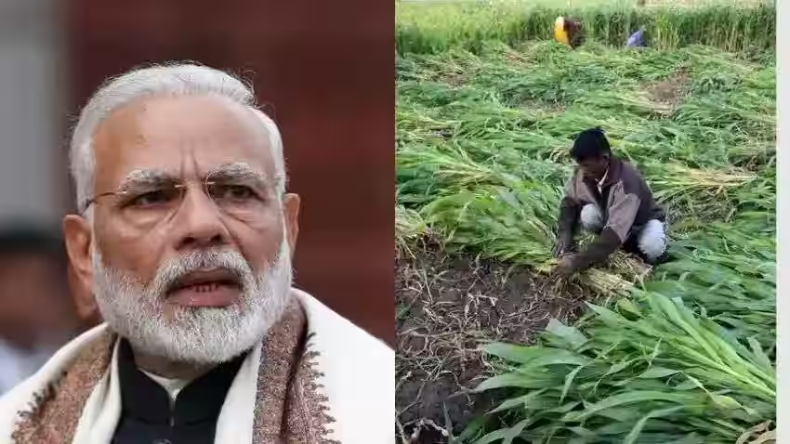 PM Kisan Yojana: किसानों के लिए खुशखबरी, पीएम मोदी ने जारी की 17वीं किस्त