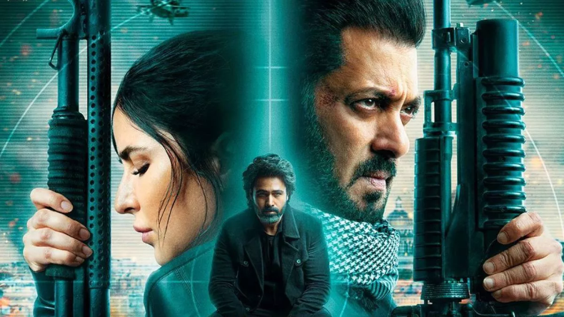 Salman Katrina: जानें कटरीना और सलमान की कौन सी फ़िल्में रही हिट और कौन फ्लॉप