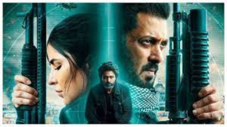 Salman Katrina: जानें कटरीना और सलमान की कौन सी फ़िल्में रही हिट और कौन फ्लॉप