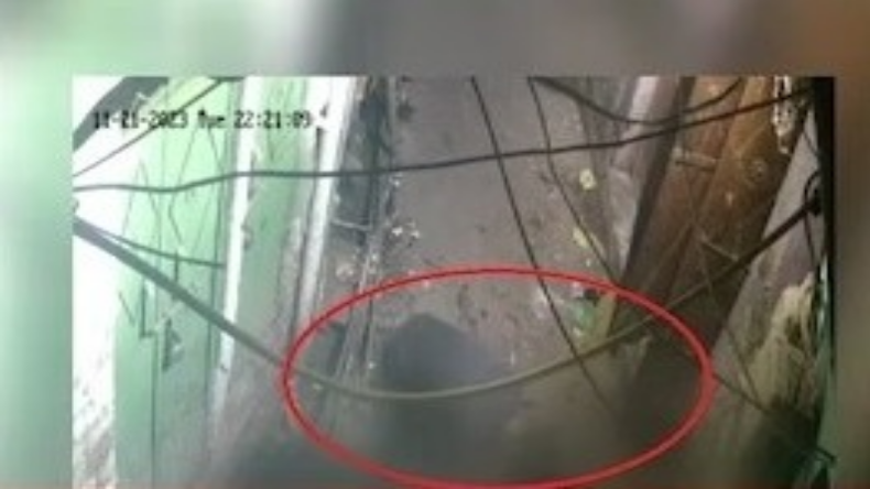 दिल्ली: तेज रफ्तार ट्रक की टक्कर से दिव्यांग महिला की मौत, तीन दिन बाद आरोपी ड्राइवर अरेस्ट