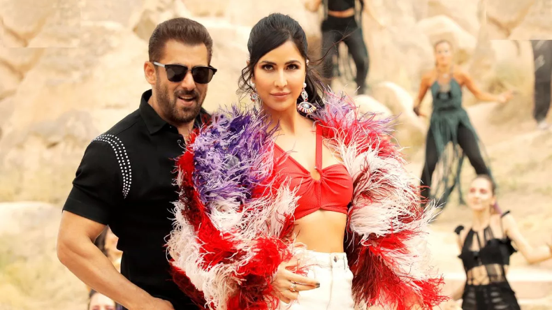 Tiger 3 Worldwide Collection: दुनिया भर में भाईजान ने मारी बाजी, 400 करोड़ पार करने के करीब है टाइगर 3