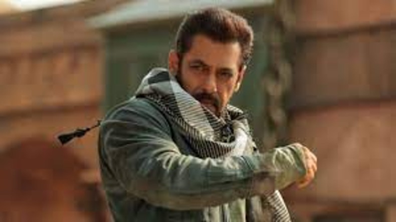 Salman Katrina: जानें कटरीना और सलमान की कौन सी फ़िल्में रही हिट और कौन फ्लॉप