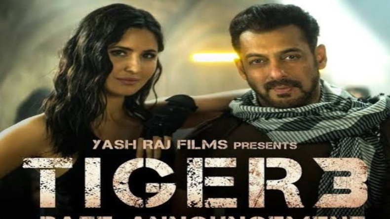 Tiger 3 Worldwide Collection: दुनिया भर में भाईजान ने मारी बाजी, 400 करोड़ पार करने के करीब है टाइगर 3