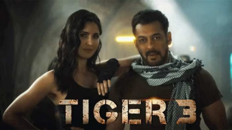 Tiger 3 Worldwide Collection: दुनिया भर में भाईजान ने मारी बाजी, 400 करोड़ पार करने के करीब है टाइगर 3