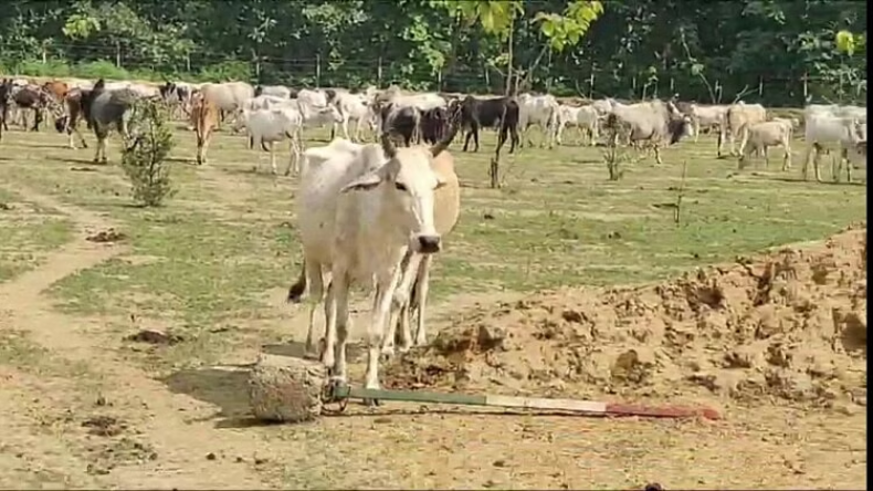 फ्लाइट में ही करने लगा हस्तमैथुन, अब हुआ गिरफ्तार…जानें आगे क्या हुआ?