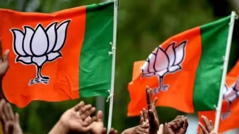 बीजेपी या AAP… दिल्ली में प्रदूषण के खिलाफ किसने किया है बेहतर काम?