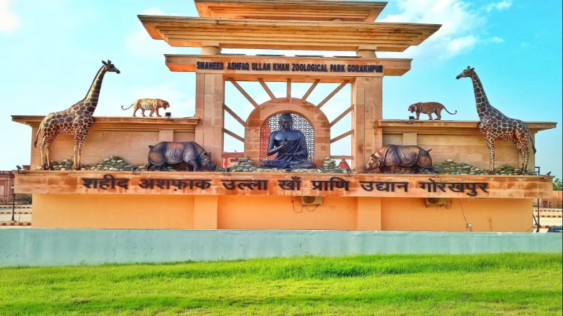राम आए हैं: मेरठ के 500 से अधिक डॉक्टर्स अयोध्या में अपनी देंगे सेवा, श्रद्धालुओं को मिलेगी सारी सुविधाएं