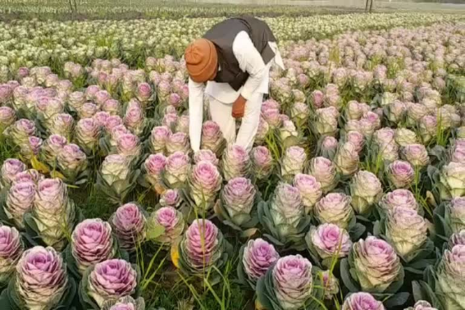 PM Kisan Yojana: 17वीं किस्त का फायदा उठाने के लिए तुरंत करें ये काम, देखें डिटेल