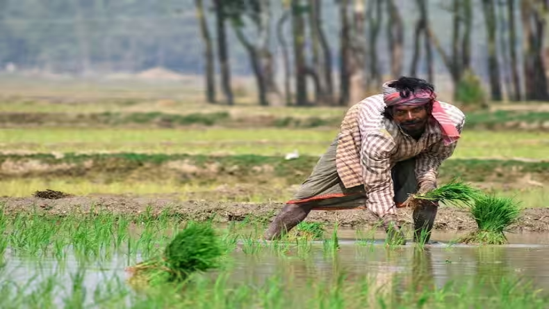 PM Kisan Yojana: किसानों के लिए खुशखबरी, पीएम मोदी ने जारी की 17वीं किस्त