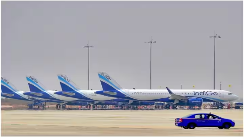 मगरमच्छ के बच्चों को बैंकॉक ले जा रहे थे तस्कर, मुंबई एयरपोर्ट पर ऐसे पकड़े गये