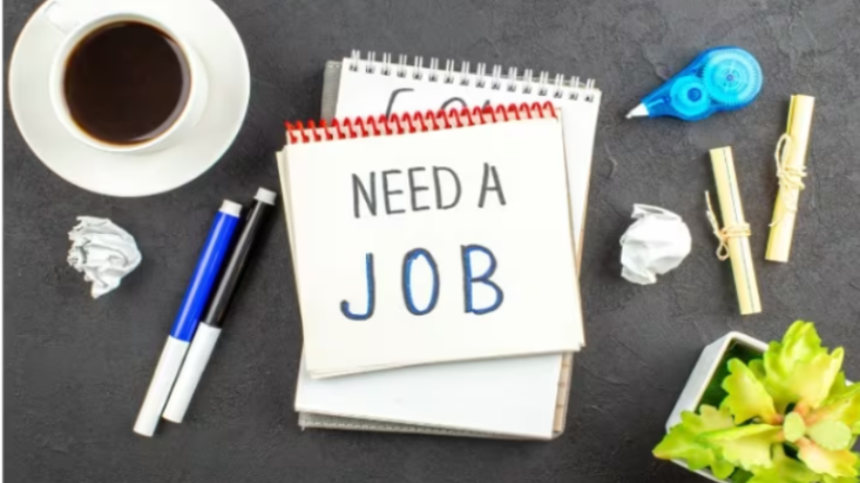 Jobs 2024: नौकरी ढूंढ रहे उम्मीदवारों के लिए खुशखबरी, मैनेजमेंट ट्रेनी के पद पर निकली भर्ती, जानें कैसे करें अप्लाई