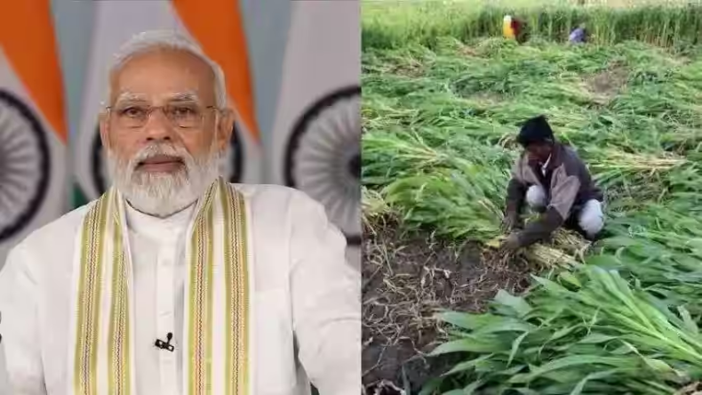 PM Kisan Yojana: किसानों के लिए खुशखबरी, पीएम मोदी ने जारी की 17वीं किस्त