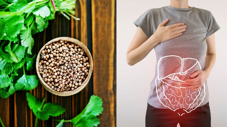 Coriander Water: धनिया का पानी करता है कई बीमारियों को दूर, जानें इसके कई फायदे